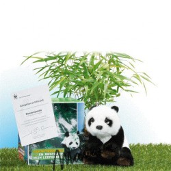 WNF panda-adoptiepakket