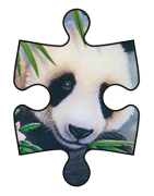 Mijn Panda Puzzels