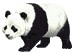 Pandaverzameling